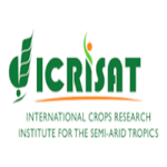 ICRISAT Pigeonpea-Associate Scientist Jobs