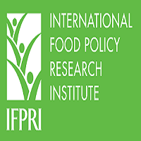 IFPRI Consultant FIRM for survey based data collection Jobs