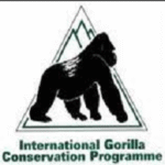 IGCP Infrastructure and Data Engineer Jobs